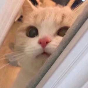 亚洲一区日韩高清中文字幕亚洲
