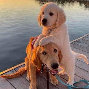 亚洲一区日韩高清中文字幕亚洲
